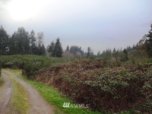 1882 Northeast Paulson Road Poulsbo, WA 98370 - Photo 7 of 11 Gallery Image 7