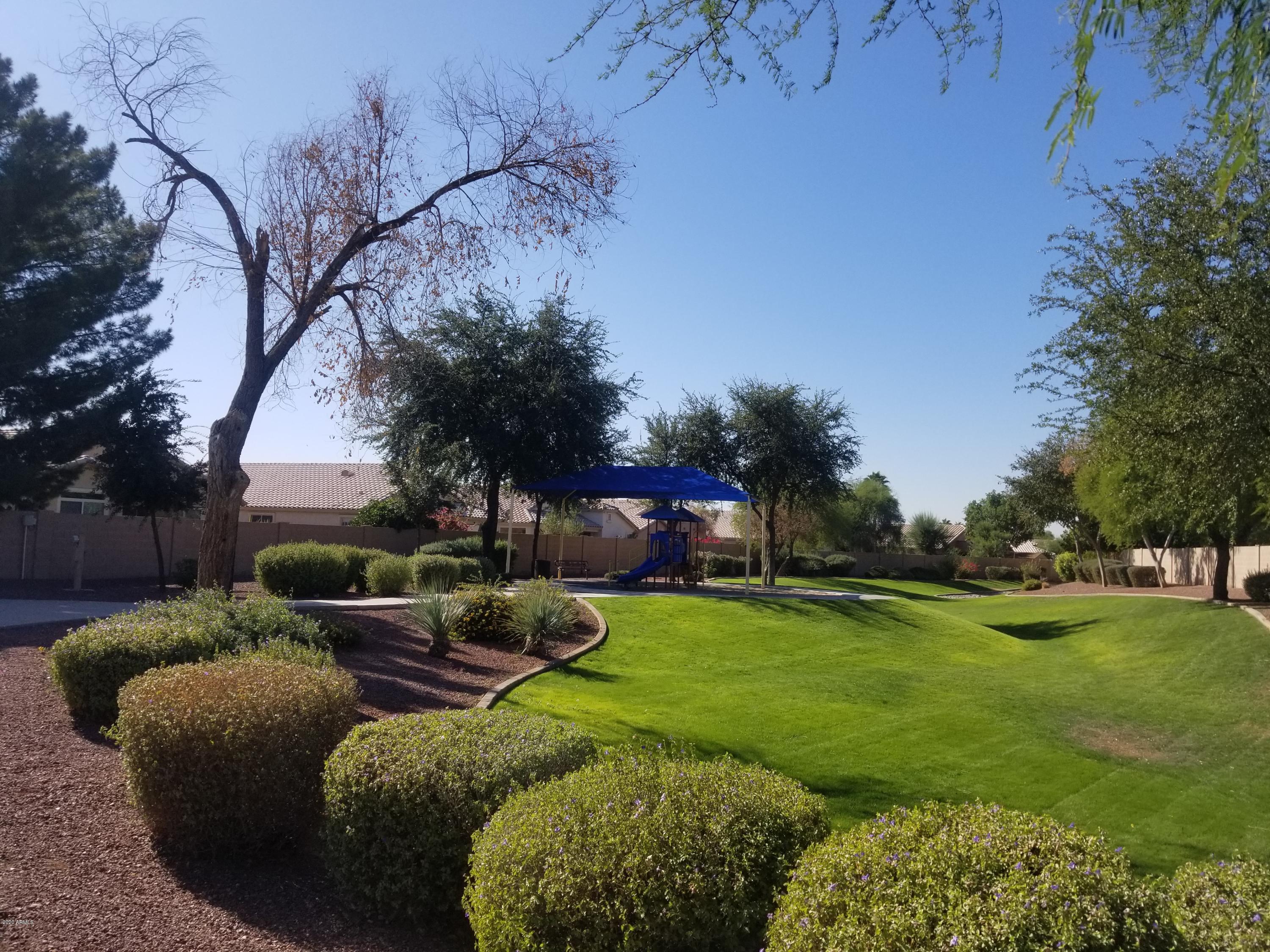 11002 West Granada Road Avondale, AZ 85392 - Photo 28 of 29 GreenBelt behind home