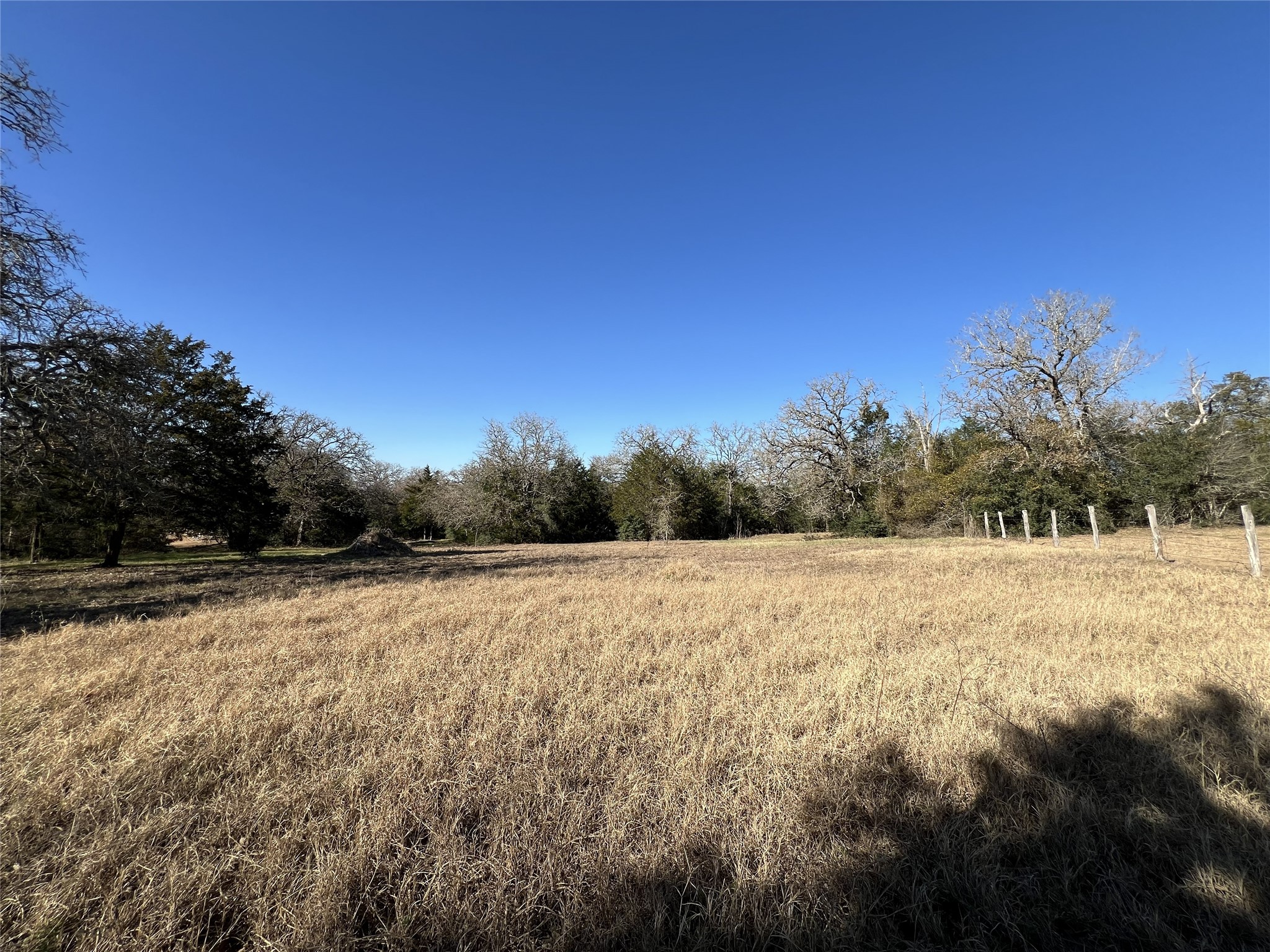 Tbd Rosanky Cattle Company Road Smithville, TX 78957 - Photo 27 of 40 a view of an outdoor space and a yard