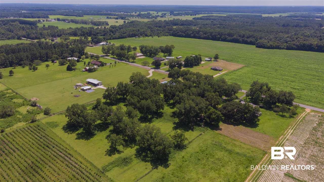 15308 County Road 83 Elberta, AL 36530 - Photo 9 of 45