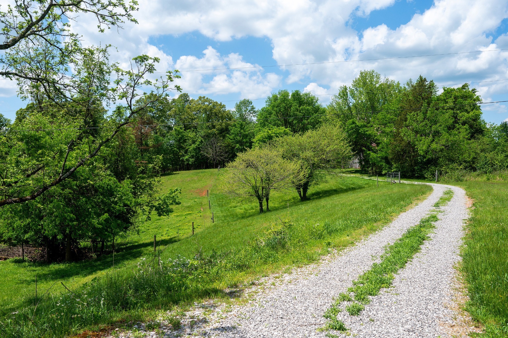 1912 Joppa Road Walling, TN 38587 - Photo 52 of 67 a view of a garden with a building in the background