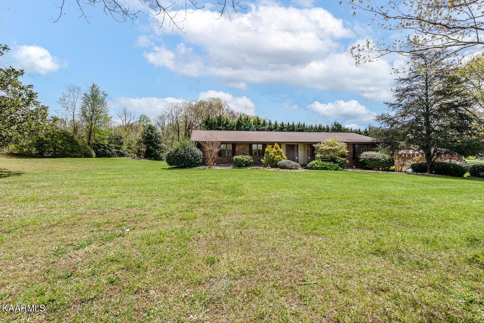 1043 Topside Road Louisville, TN 37777 - Photo 3 of 49 Gallery Image 3