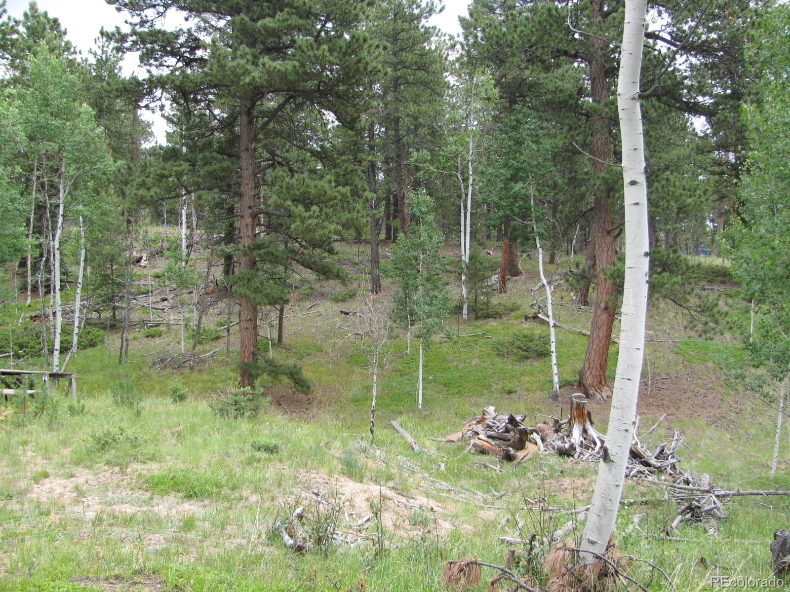 7826 County 51 Road Divide, CO 80814 - Photo 1 of 16 Gallery Image 1