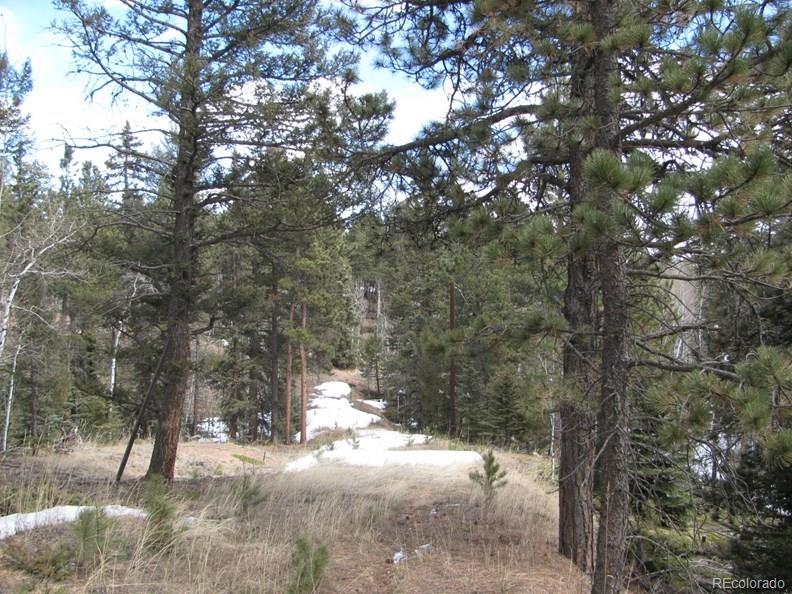 7826 County 51 Road Divide, CO 80814 - Photo 7 of 16 Gallery Image 7