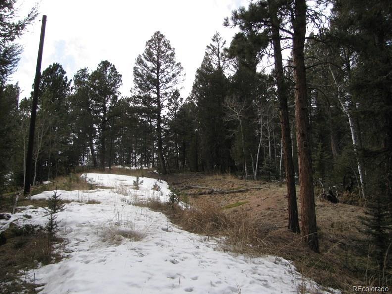 7826 County 51 Road Divide, CO 80814 - Photo 8 of 16 Gallery Image 8