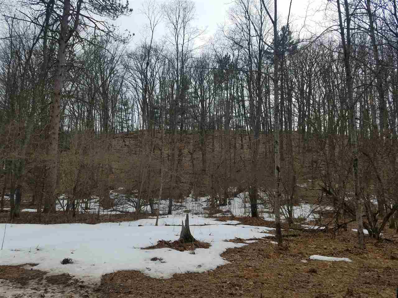 20620 Pole Road Brethren, MI 49619 - Photo 33 of 34 1844909-32.JPG