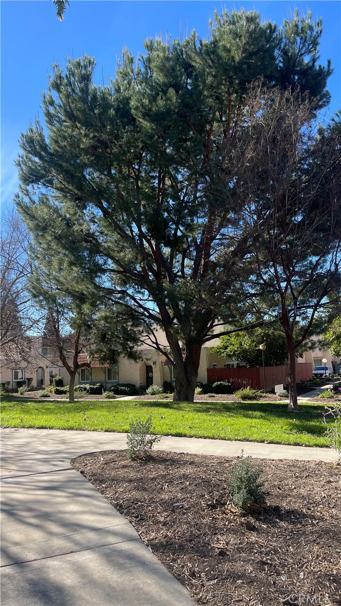 2560 Gonzaga Lane Riverside, CA 92507 - Photo 43 of 52