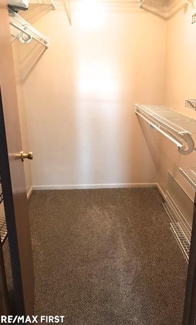 20700 Dunham Road Clinton Township, MI 48038 - Photo 18 of 36 Walk-in-Closets
