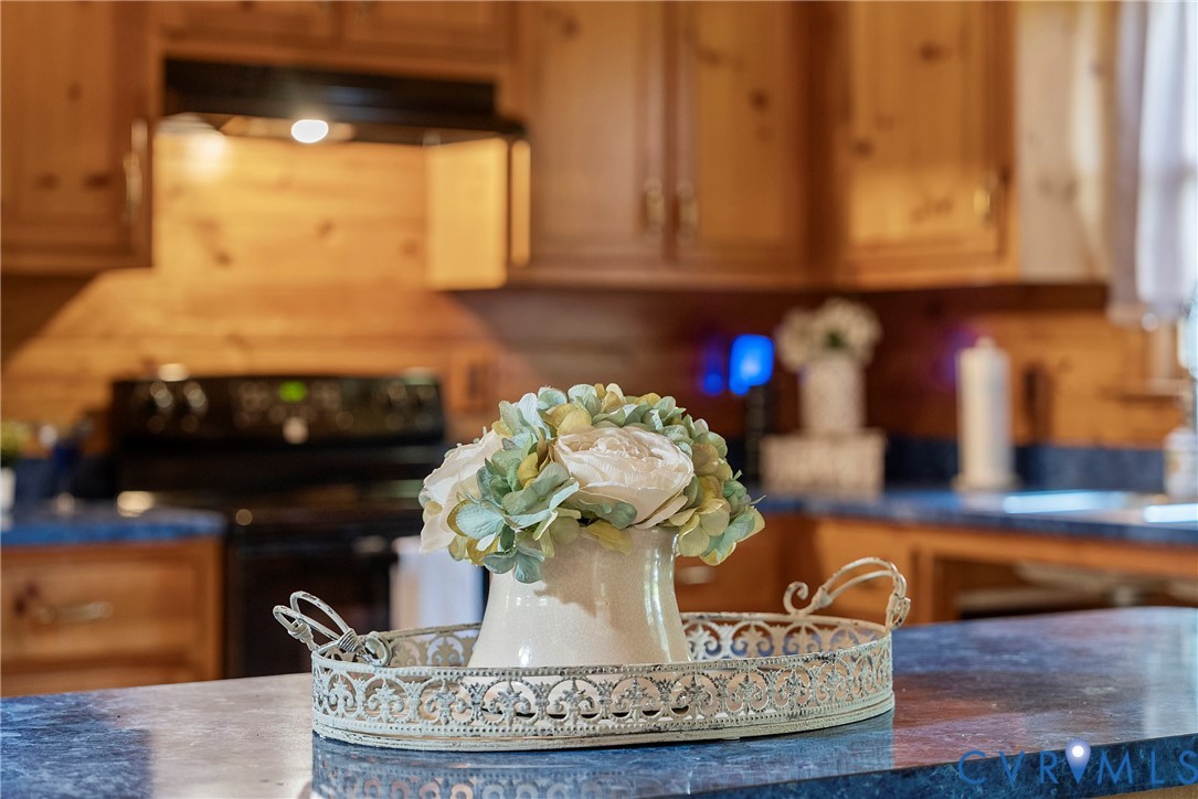 949 Old Buckingham Road Cumberland, VA 23040 - Photo 17 of 49 Dining space featuring wood walls, wood finished f
