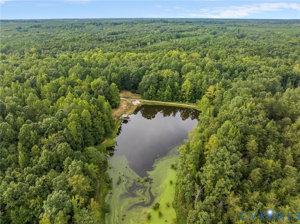 949 Old Buckingham Road Cumberland, VA 23040 - Photo 3 of 49 a view of a forest with a yard