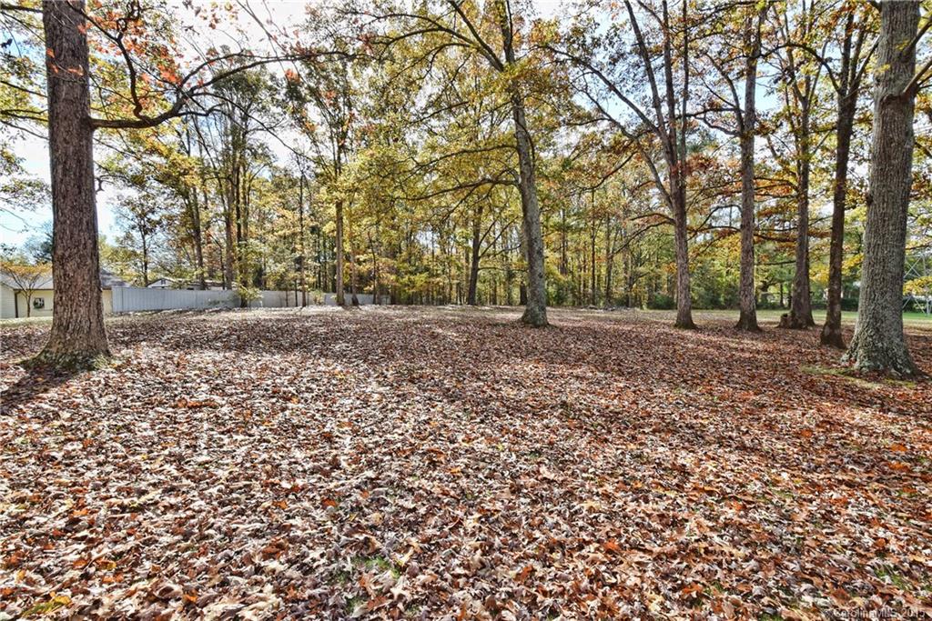 920 Museum Road Rock Hill, SC 29732 - Photo 20 of 24 Gallery Image 20