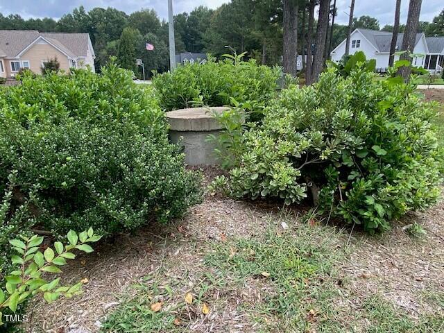 1009 Portico Place Raleigh, NC 27603 - Photo 41 of 54 well photo