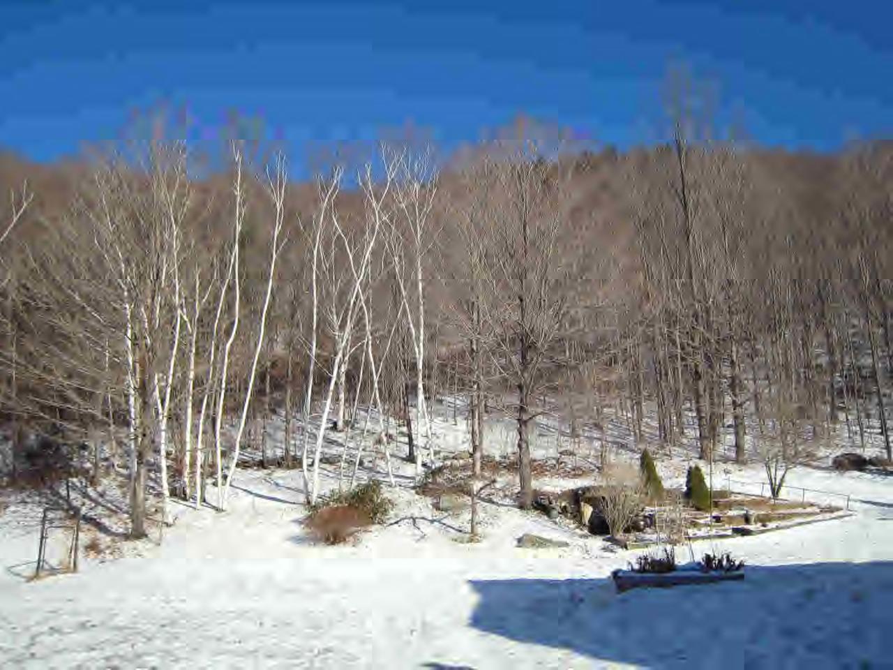 146 River Road Monroe, MA 01350 - Photo 5 of 8 a view of a water with large trees