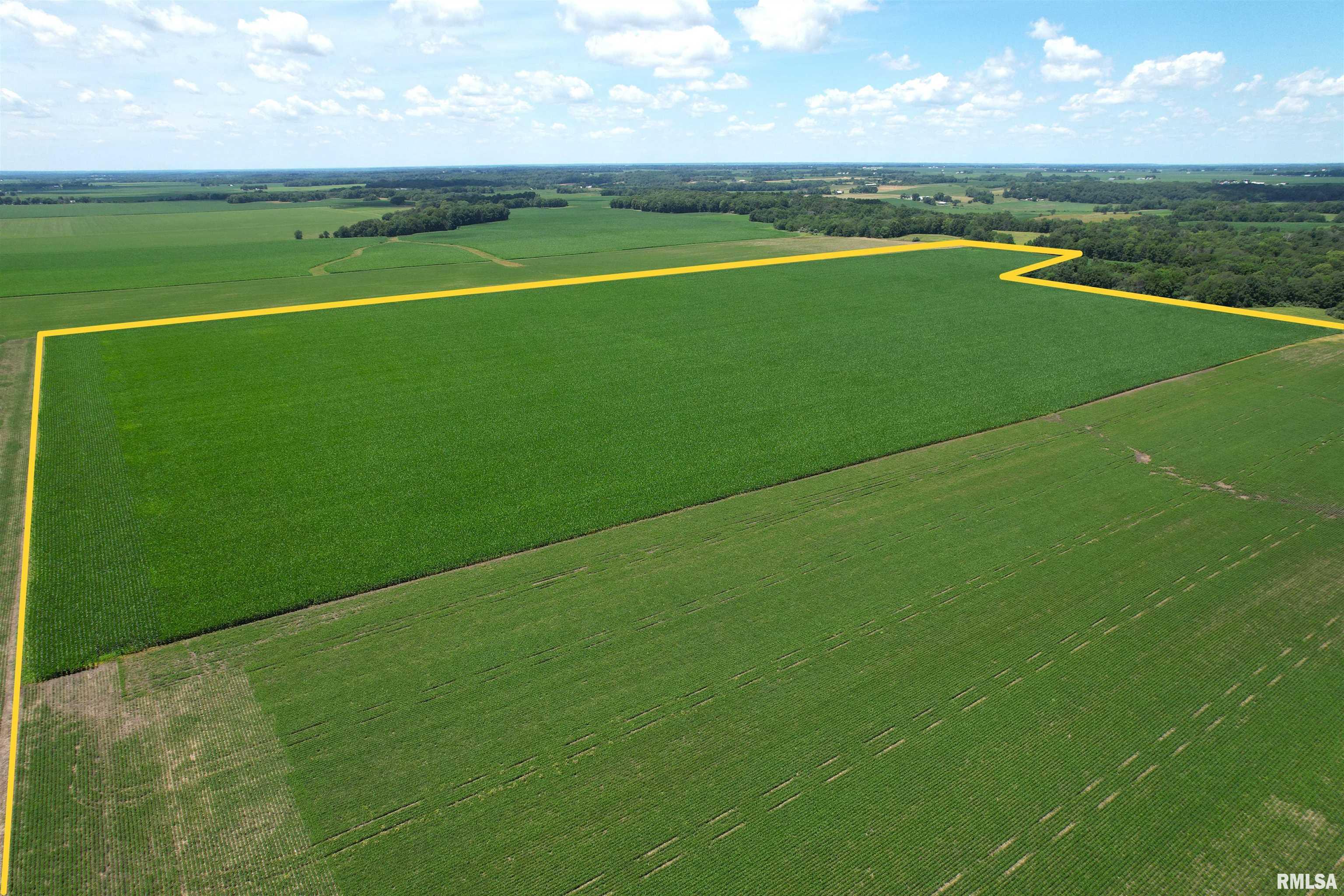 Merritt Blacktop Road Jacksonville, IL 62650 - Photo 3 of 14