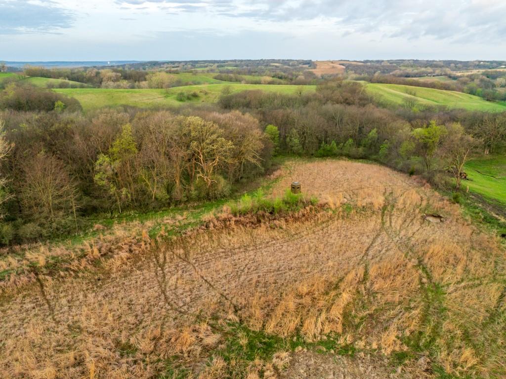 26568 November Road Forest City, MO 64451 - Photo 18 of 60