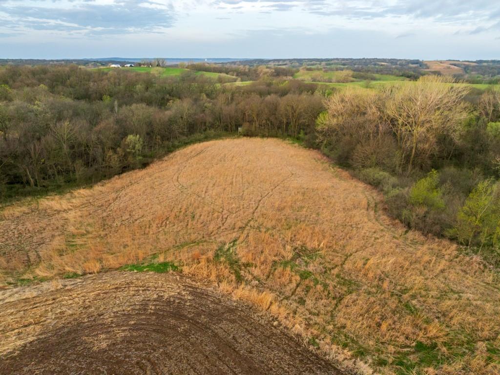 26568 November Road Forest City, MO 64451 - Photo 19 of 60