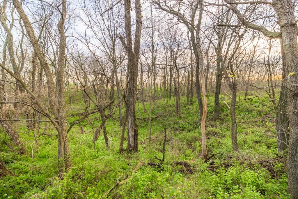 26568 November Road Forest City, MO 64451 - Photo 28 of 60