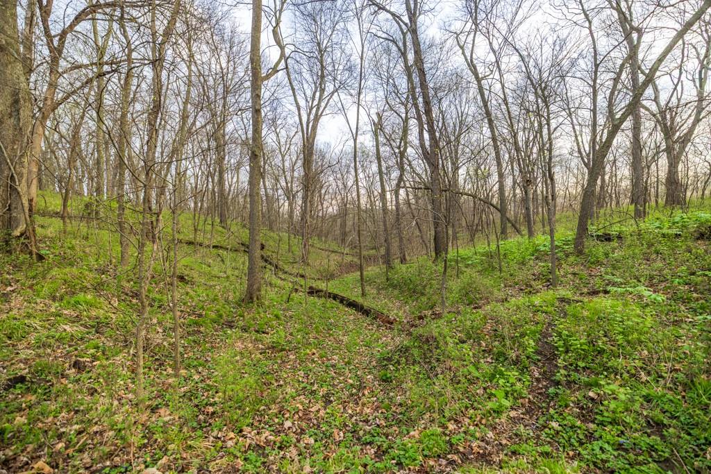 26568 November Road Forest City, MO 64451 - Photo 29 of 60