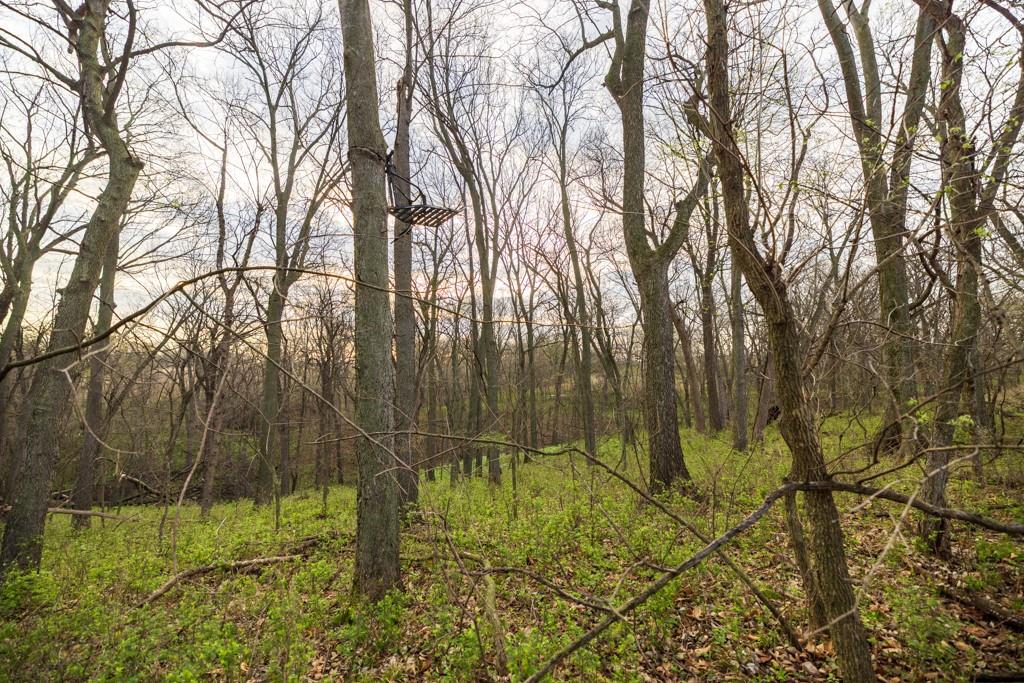 26568 November Road Forest City, MO 64451 - Photo 32 of 60
