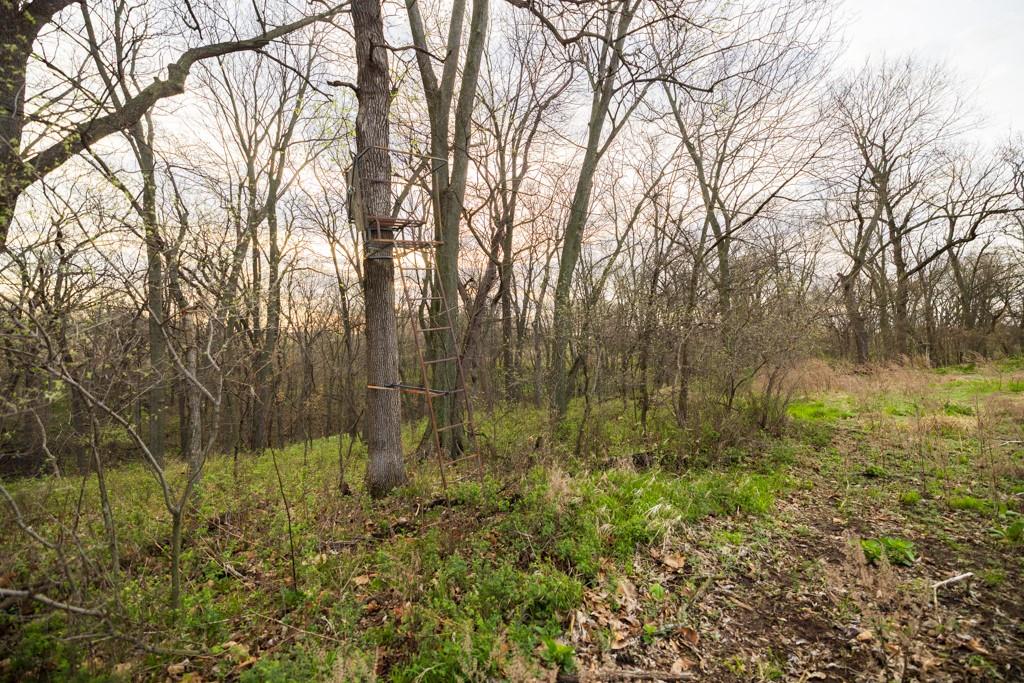 26568 November Road Forest City, MO 64451 - Photo 33 of 60