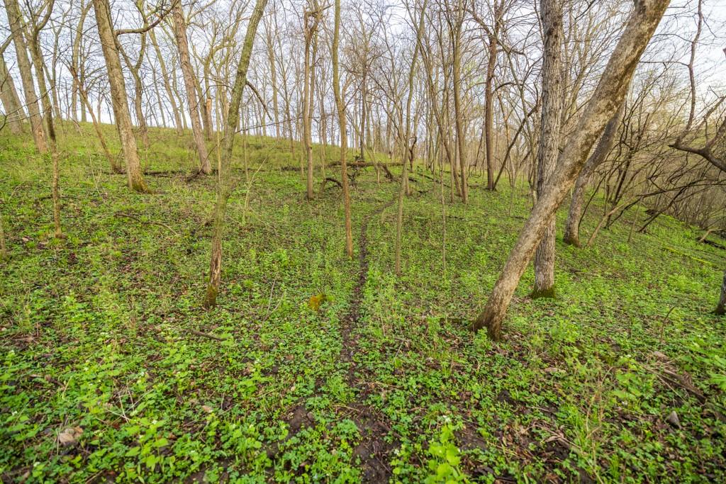 26568 November Road Forest City, MO 64451 - Photo 34 of 60