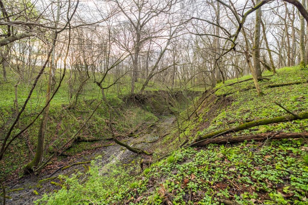 26568 November Road Forest City, MO 64451 - Photo 35 of 60