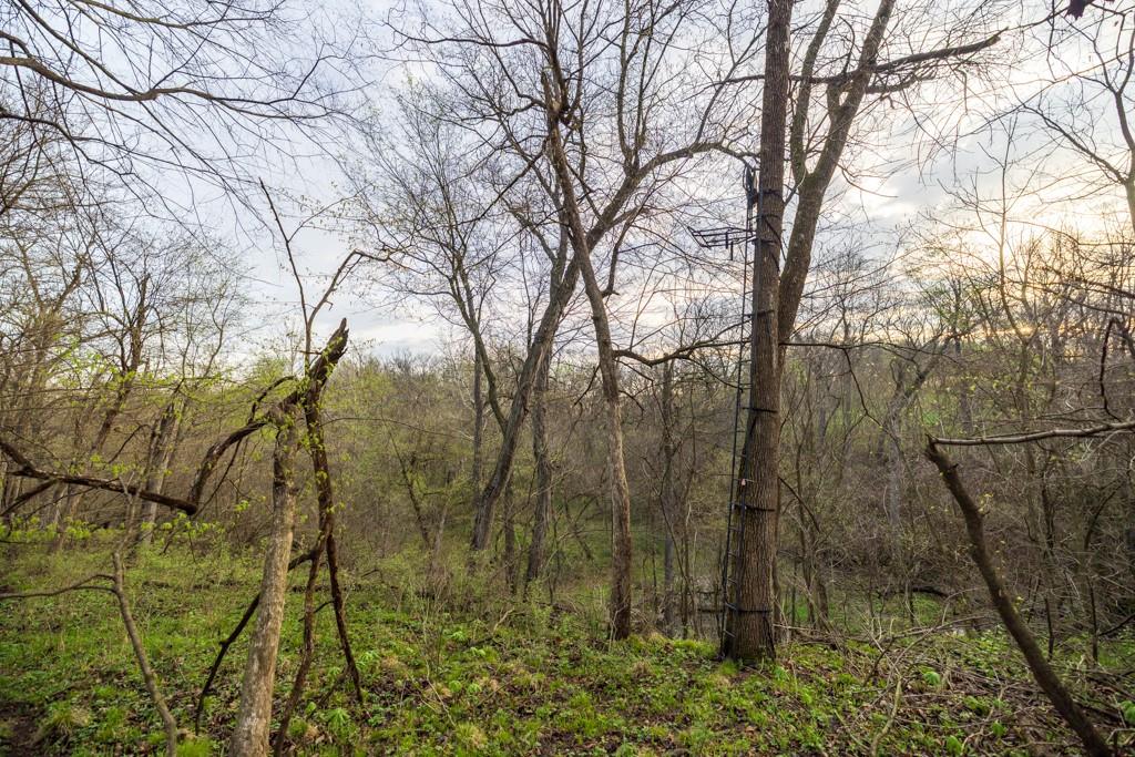26568 November Road Forest City, MO 64451 - Photo 36 of 60