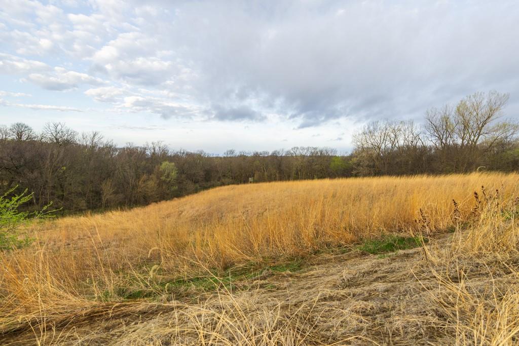 26568 November Road Forest City, MO 64451 - Photo 43 of 60