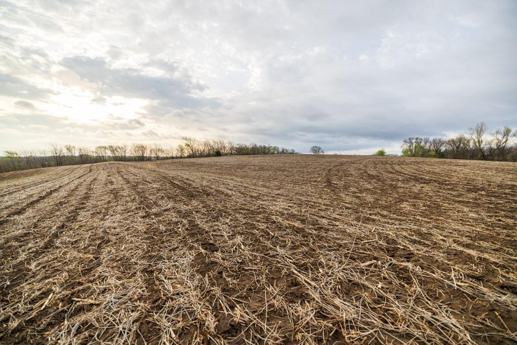 26568 November Road Forest City, MO 64451 - Photo 48 of 60