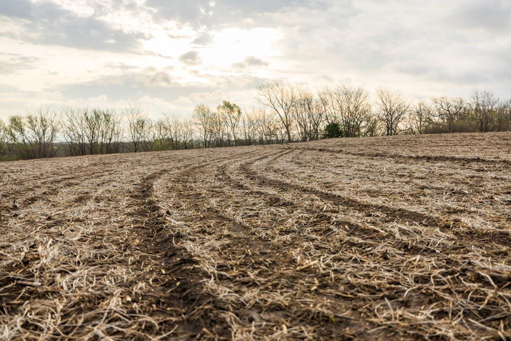 26568 November Road Forest City, MO 64451 - Photo 49 of 60