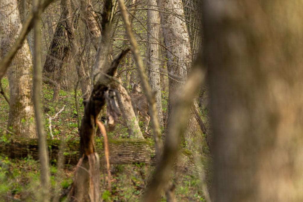 26568 November Road Forest City, MO 64451 - Photo 54 of 60