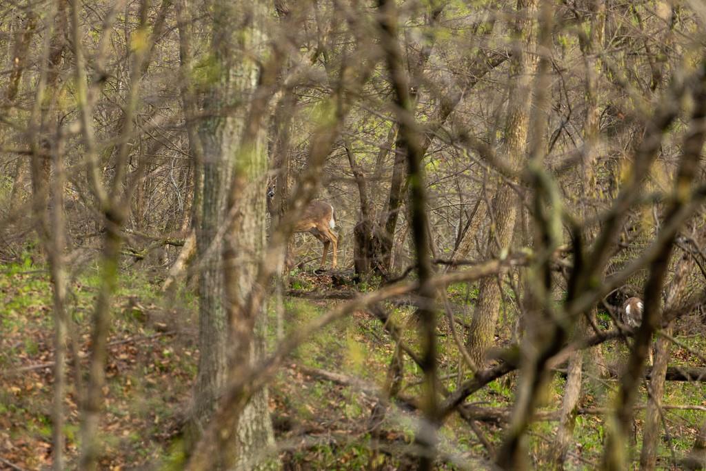 26568 November Road Forest City, MO 64451 - Photo 55 of 60