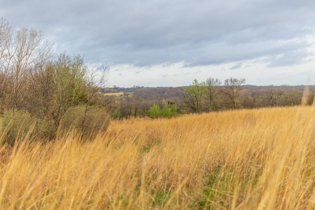 26568 November Road Forest City, MO 64451 - Photo 59 of 60