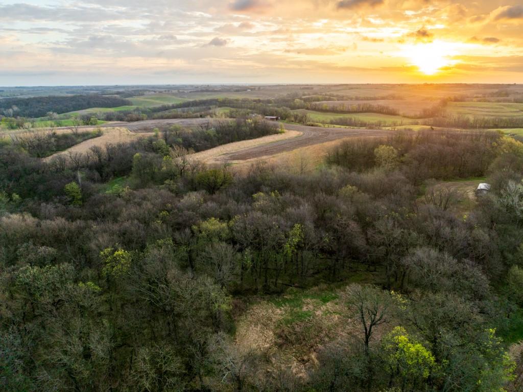 26568 November Road Forest City, MO 64451 - Photo 8 of 60
