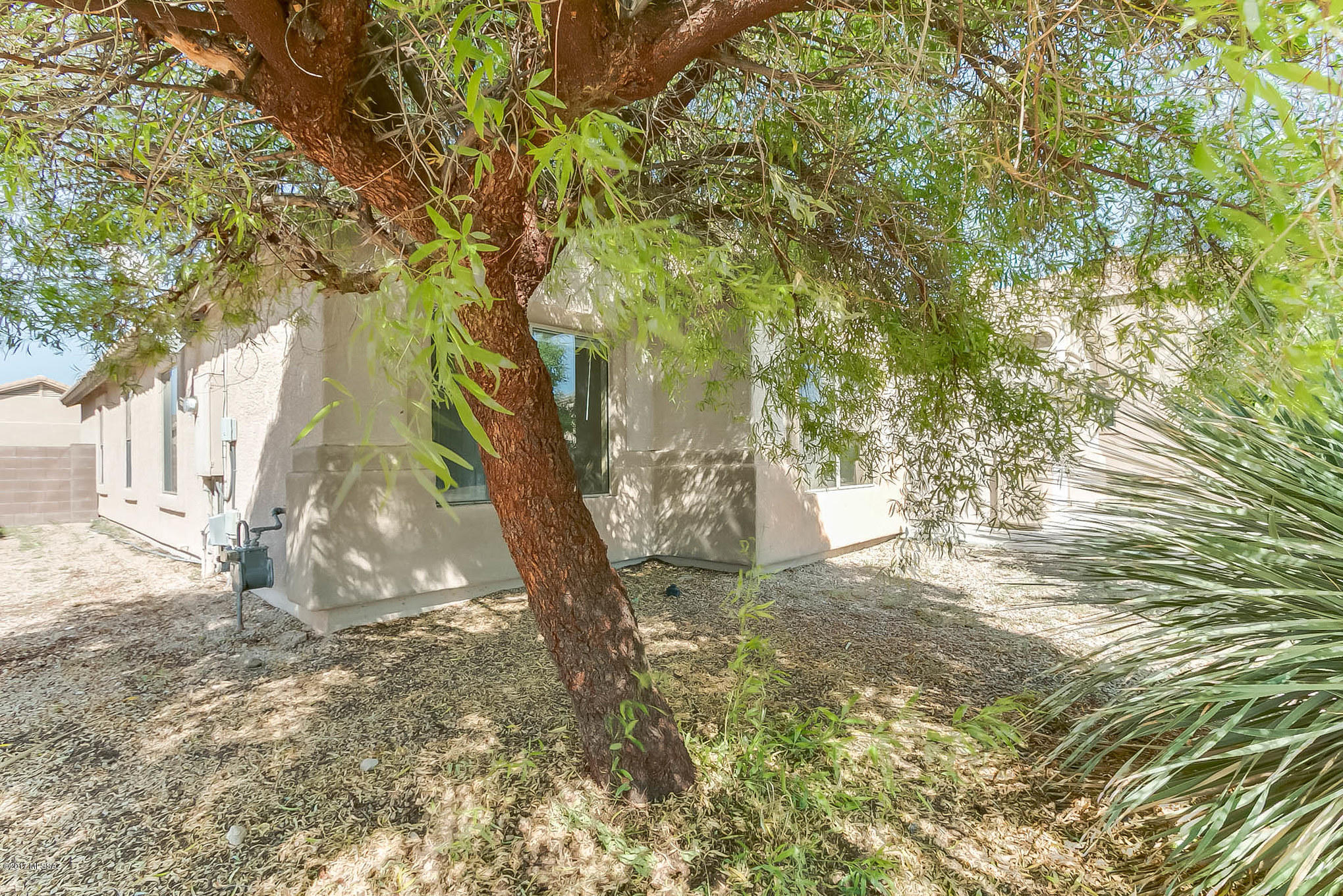 12949 East Turtle Spring Place Vail, AZ 85641 - Photo 3 of 36