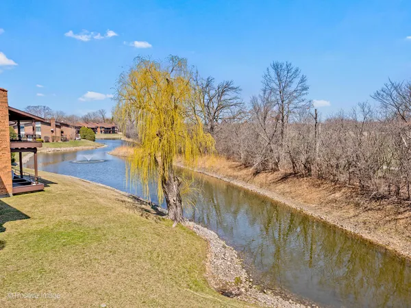 a view of a swimming pool and an outdoor space