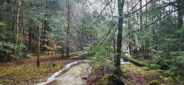 $139,900 | 2051 Sheldon Woods Road, Fairfield, VT 05483