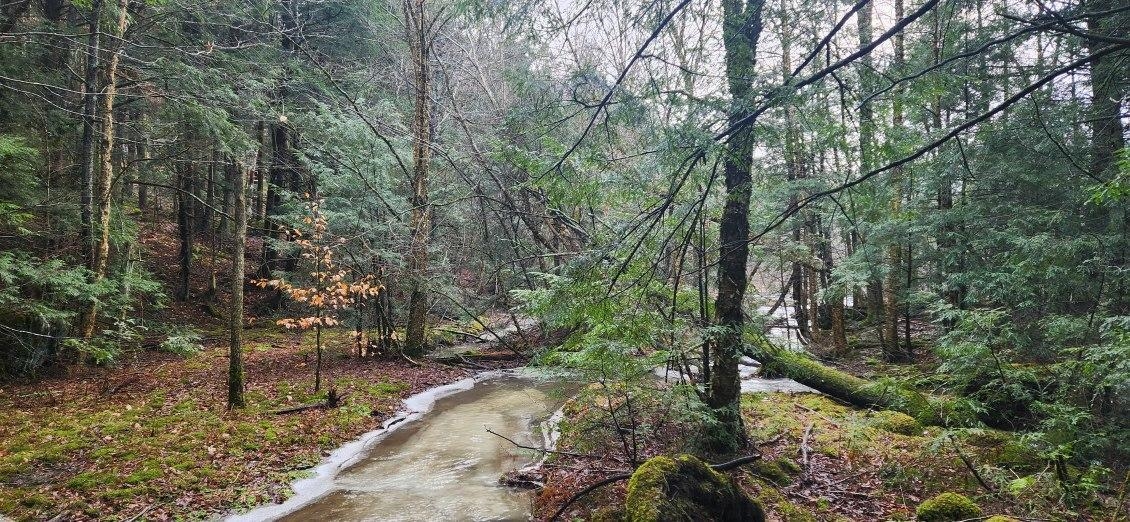 2051 Sheldon Woods Road Fairfield, VT 05483 - Photo 2 of 11