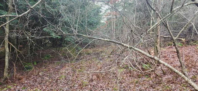 $139,900 | 2051 Sheldon Woods Road, Fairfield, VT 05483