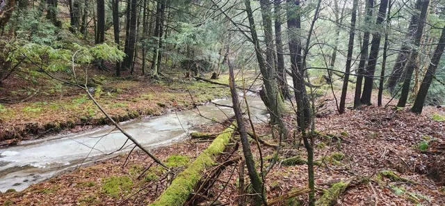 $139,900 | 2051 Sheldon Woods Road, Fairfield, VT 05483