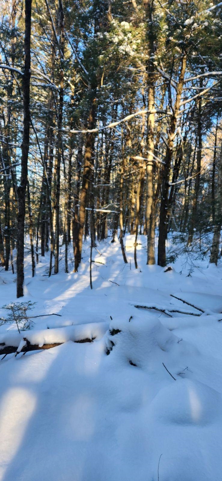 2051 Sheldon Woods Road Fairfield, VT 05483 - Photo 9 of 11