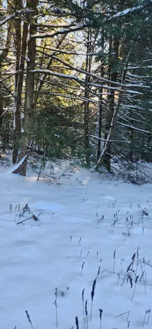 $139,900 | 2051 Sheldon Woods Road, Fairfield, VT 05483