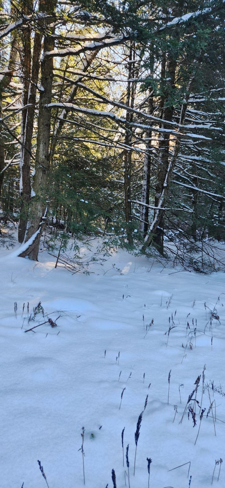 2051 Sheldon Woods Road Fairfield, VT 05483 - Photo 10 of 11