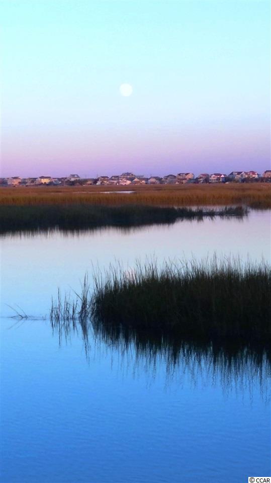 830 Main Sail Court Murrells Inlet, SC 29576 - Photo 22 of 22 Gallery Image 22