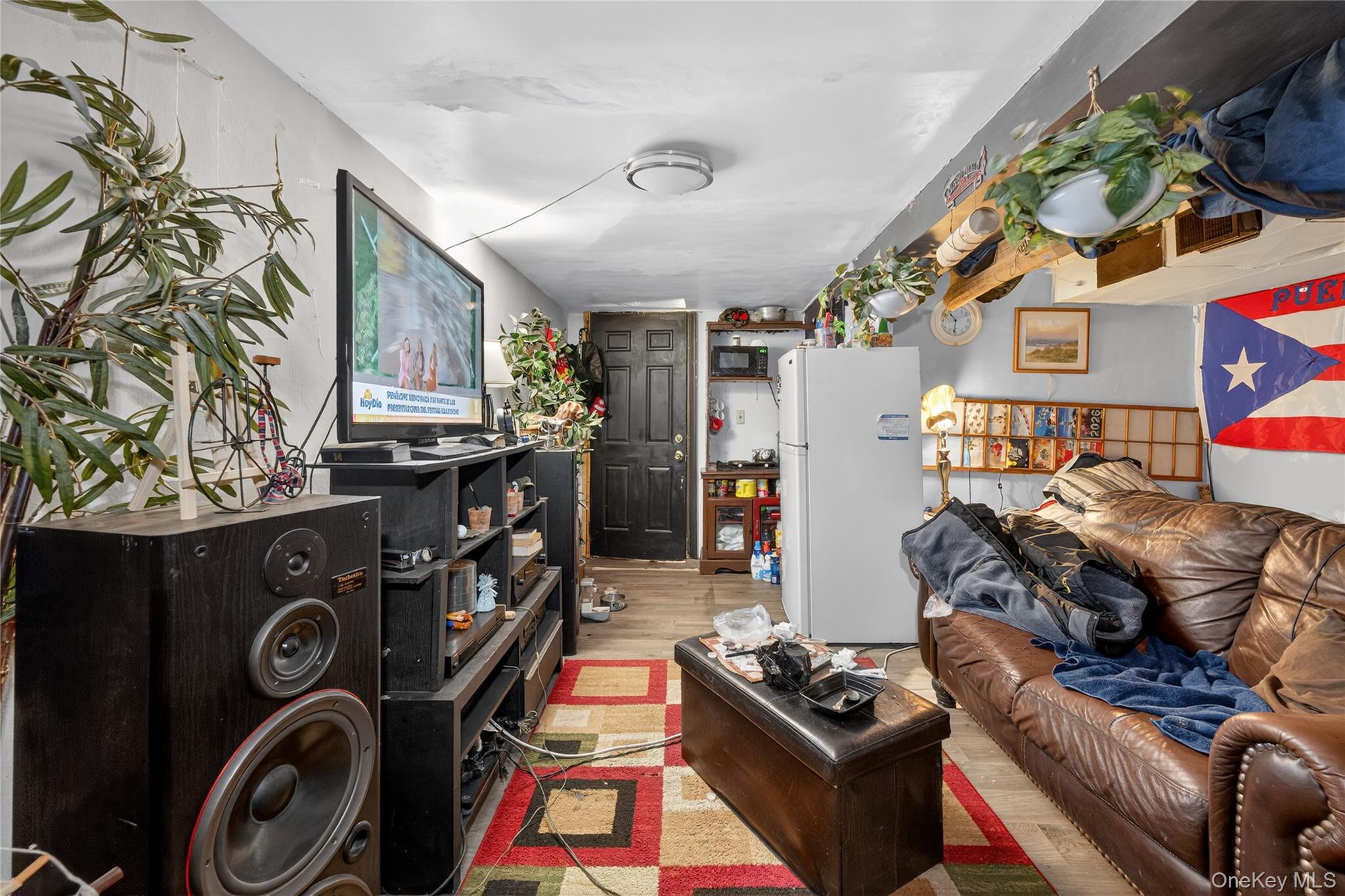 89-31 85th Street Queens, NY 11421 - Photo 32 of 42 basement