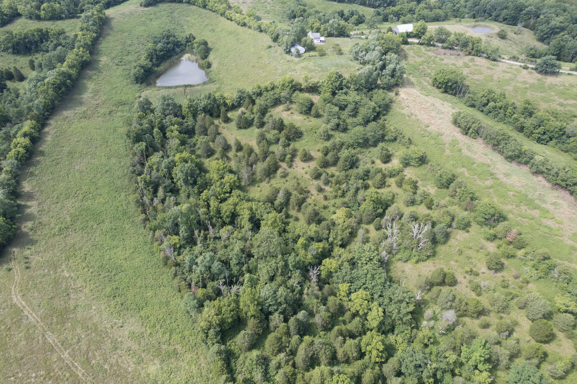 2605 Mason Cordova Road Corinth, KY 41010 - Photo 9 of 44 Gallery Image 9