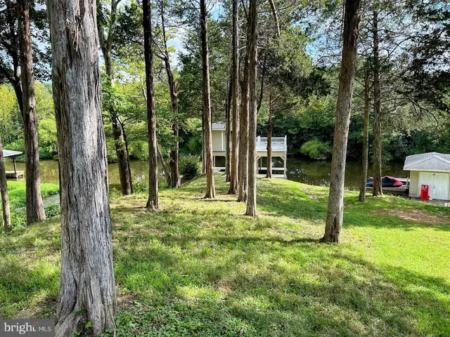 a view of a backyard with large trees and a small barn
