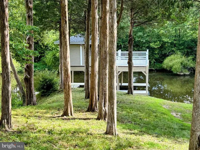 a view of a wooden house with a big yard and large trees