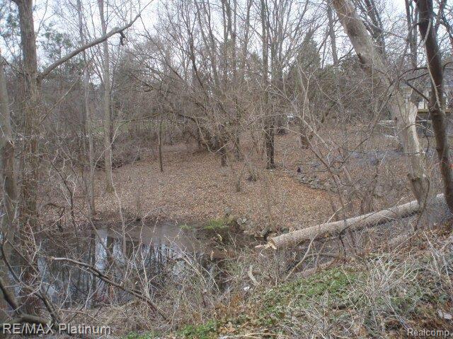 Vl Benstein Road Commerce Township, MI 48382 - Photo 14 of 14 P4160023