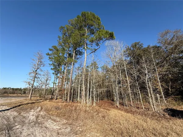 $58,700 | 1 Northeast 126th Street, Bronson, FL 32621